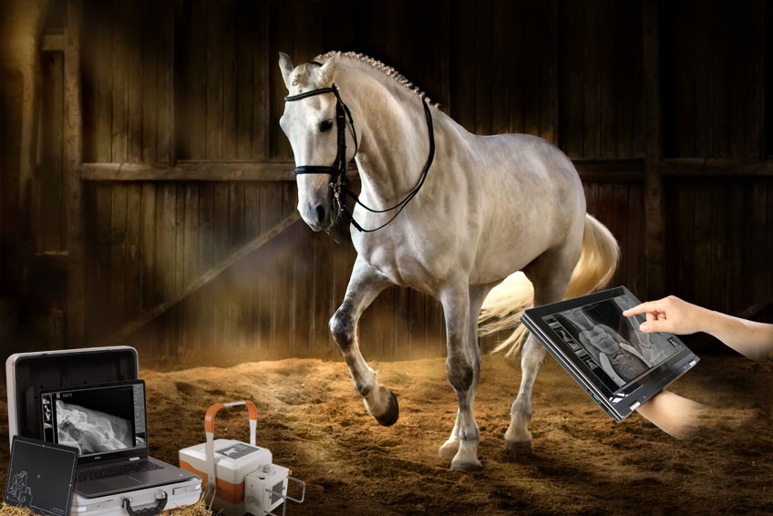 Portable veterinary Xray machines for equine medicine