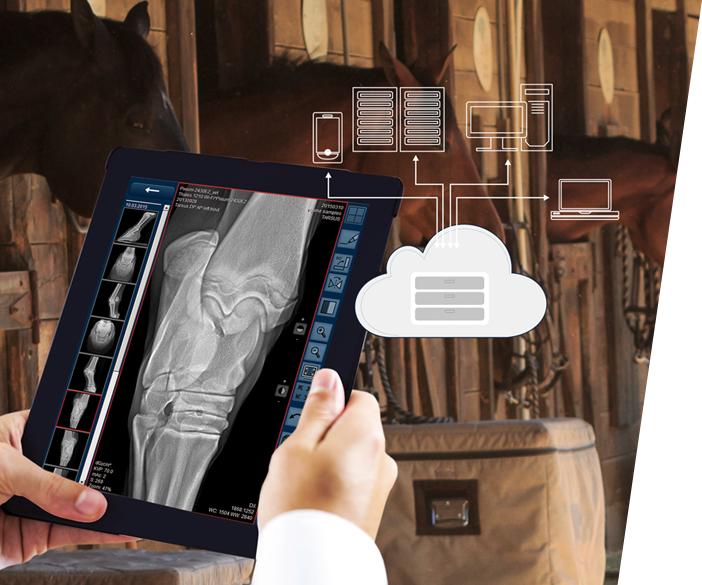 ORCA DICOM Cloud - Plataforma para imágenes y documentos veterinarios