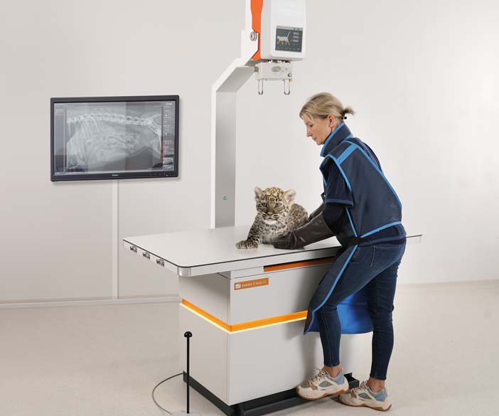 Amadeo V nano II - X ray unit for veterinarians and veterinary clinics