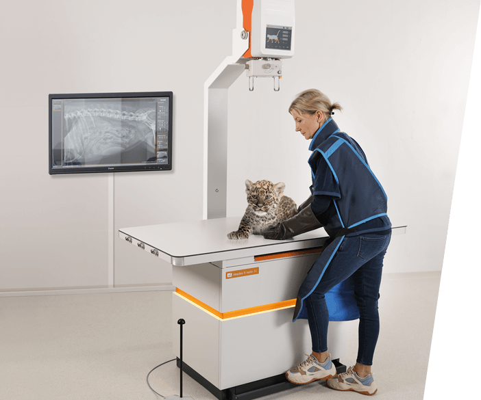 Digital X ray machine for small animal practices from dog to cat to mouse