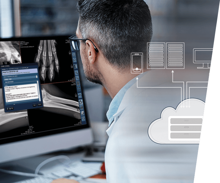 xray software for archiving image material from digital xray, MRI and CT for vets and veterinary practices