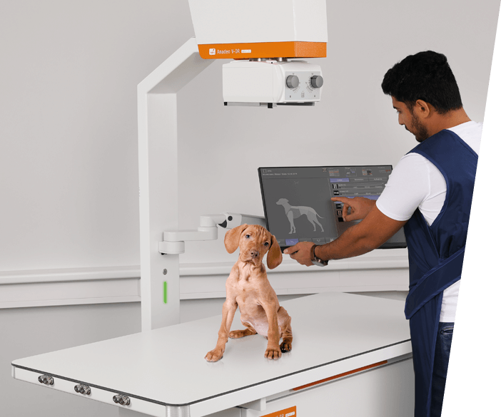 Amadeo V mini II - Sistema digital de rayos X completo para veterinarios a domicilio