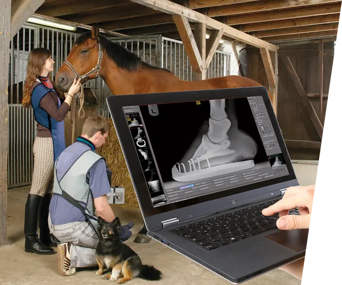 dicomPACS vet - Purchase examination software for animal x ray 