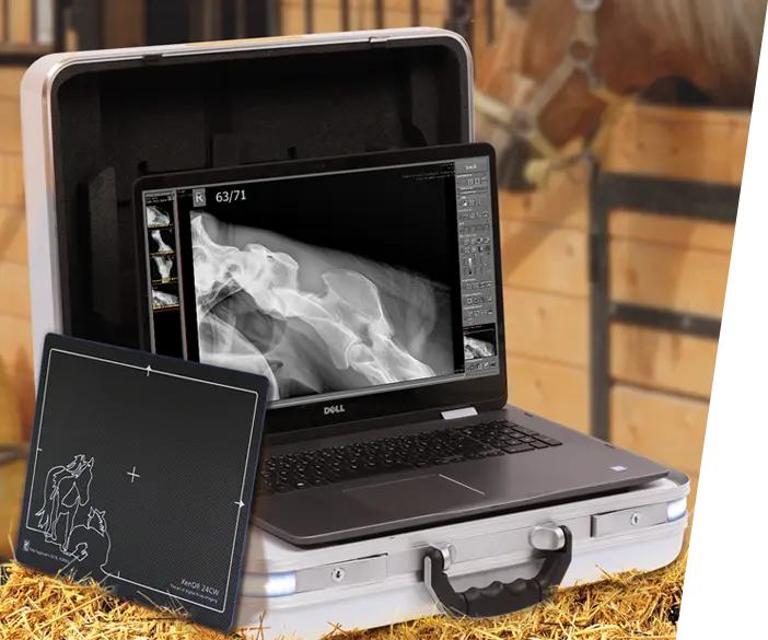 Leonardo DR mini II - horse X ray system in a hard case for mobile equine radiography