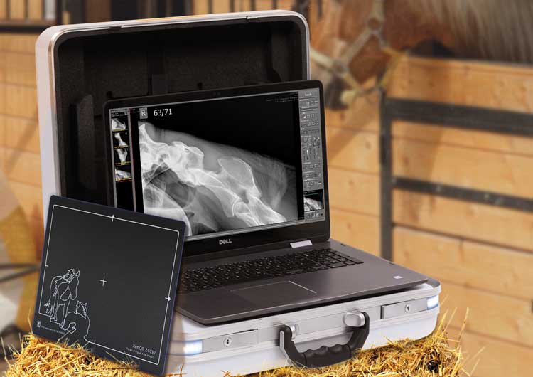 Leonardo mini II - X ray system for mobile use in stables and equine clinics for specialists in horse veterinary