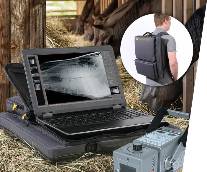 Lenordo nano - super lightweight X-ray system as backpack for horse X ray