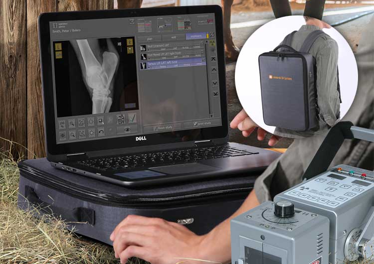 Leonardo DR pico - ligth-weighted comfortable X ray system for equine radiography