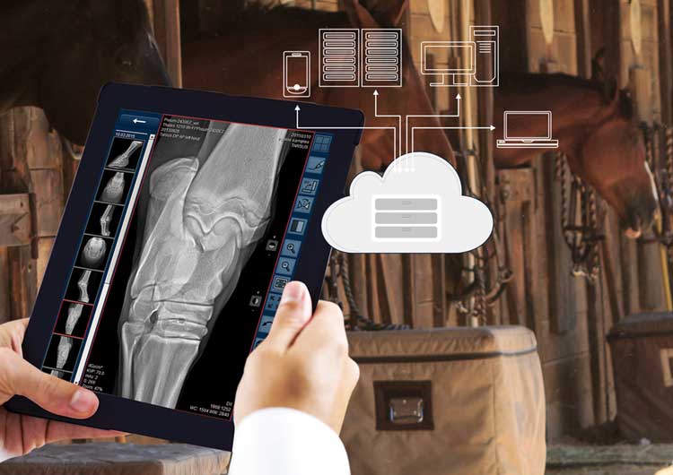 orca - dicom cloud for veterinary pacs images and documents