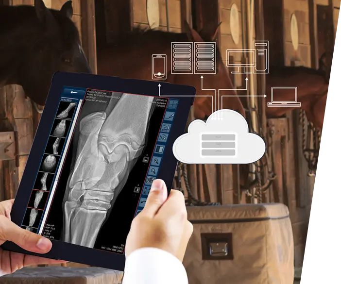 orca - dicom cloud for veterenary medical images and documents