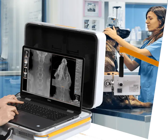 Cordless, portable X-ray case for small animal practices, veterinarians and mobile veterinarians. 