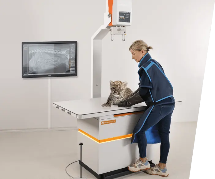 Digital X-ray complete system for small animal practices from dog, cat to mouse