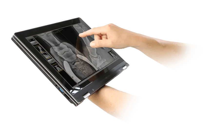 X-ray tablet and imaging software for horse veterinaries and equine clinics