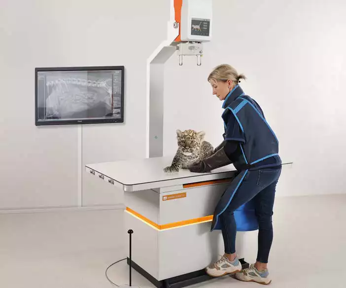 Amadeo V nano II - X ray machine for veterinarians and veterinary clinics