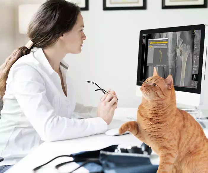 dicomPACS®vet Digital image management for X-rays and documents especially for veterinarians