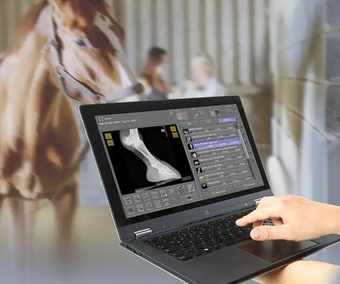 dicomPACS - pacs software for veterinarians