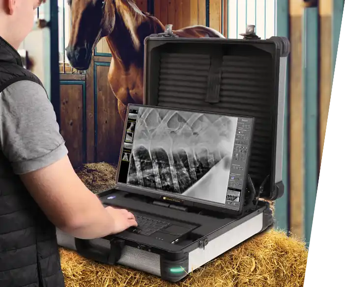 Leonardo DR mini II - portable equine X ray system