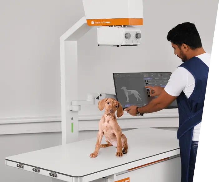 Amadeo V mini II - Complete digital X ray system for small animal radiography