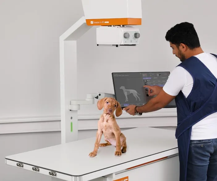 Space-saving veterinary X ray system for small animal medicine from dog to mouse