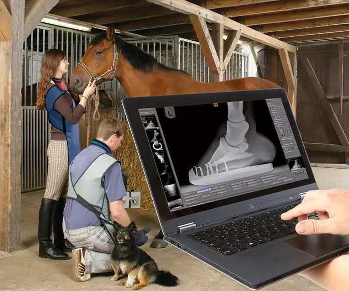 dicomPACS vet - Comprar un software de examen para caballos