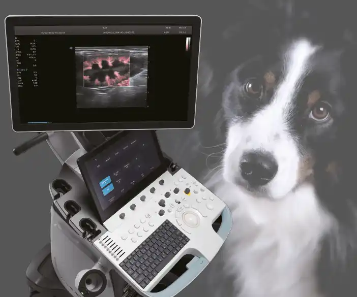 ORsono professional V70 - mobile ultrasound system for vets