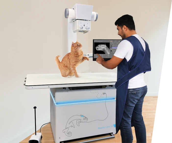 Tierazt untersucht eine Katze am Amadeo V mini III Röntgentisch