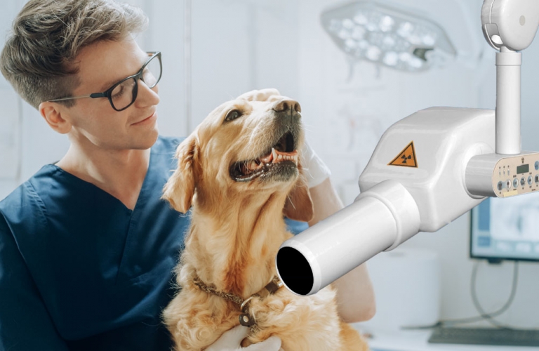 dental X-ray system operates in the high-frequency range with constant power output and therefore achieves the highest quality dose stability