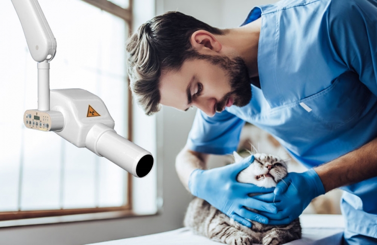 Intraoral X-ray systems for small animal medicine - reliable dental X-ray systems X-Mind DC