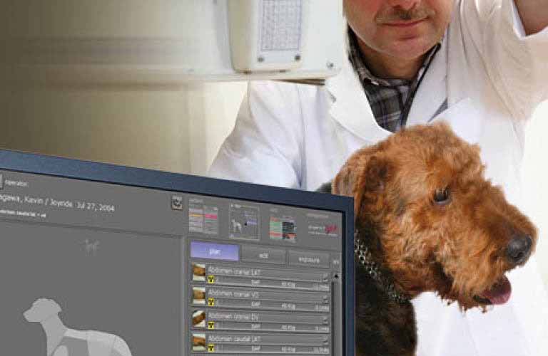 Akquisitions-Befundsoftware-Roentgenbilder-vet3