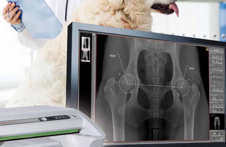 Acquisition software for X-ray images generated by various CR units (computed radiography with imaging plates)