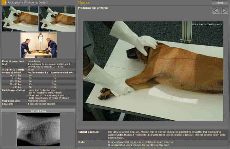 Integrated radiographic positioning guide for each examination incl. comprehensive notes, photos, videos and correct X-ray images