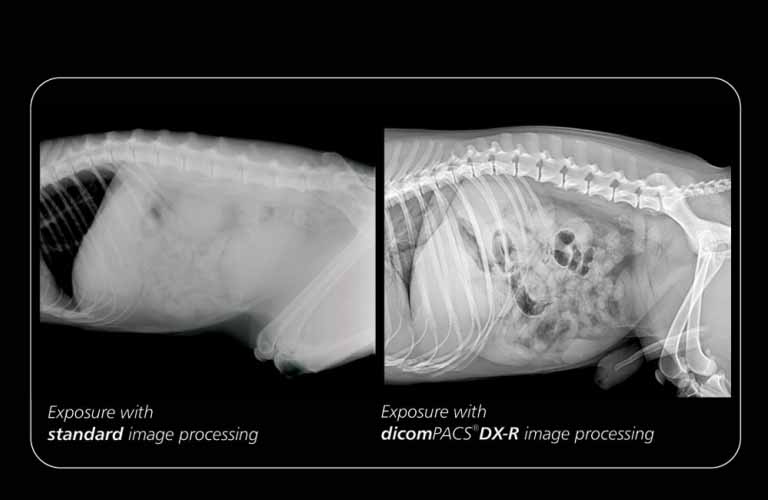 Image comparison: The professional dicomPACS DX-R image processing