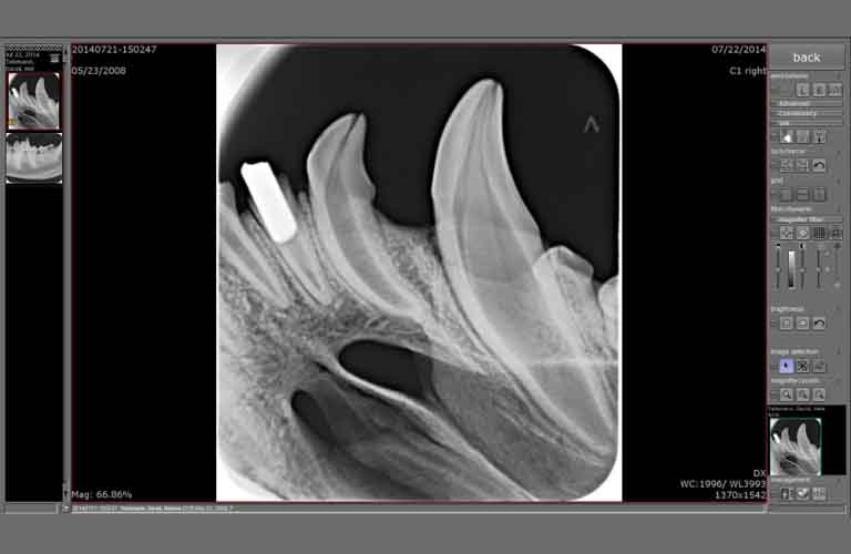 High quality digital dental radiographs for veterinary medicine