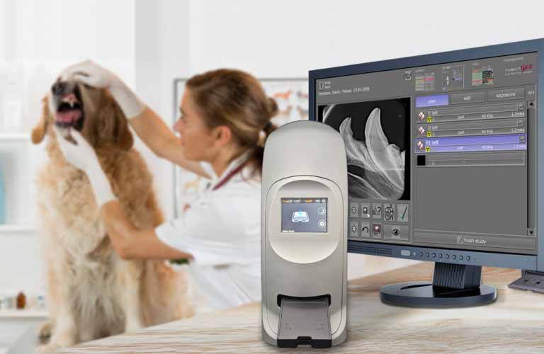 Divario CR-F Dental Premium rápida y rentable