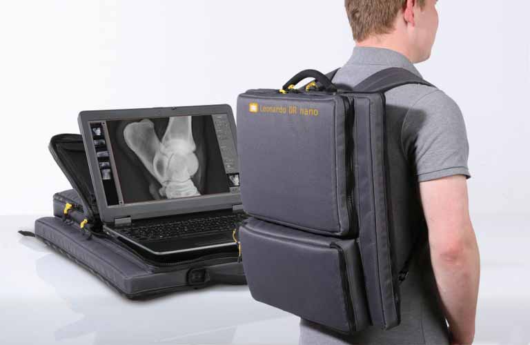 Veterinary radiography with only two components, a wireless X-ray detector and a laptop