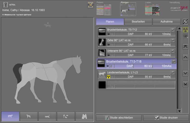 Planning the X-ray examination using the body parts - switching to planning for horses/large animals, cats, exotic/small animals and dentistry with just one click