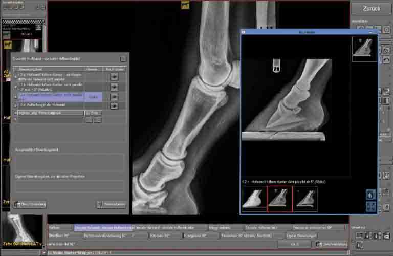 Report module for X-ray services of horse purchase examinations enables the fast generation of reports by the automatic transfer of the X-ray images as well as the provision of the corresponding report texts