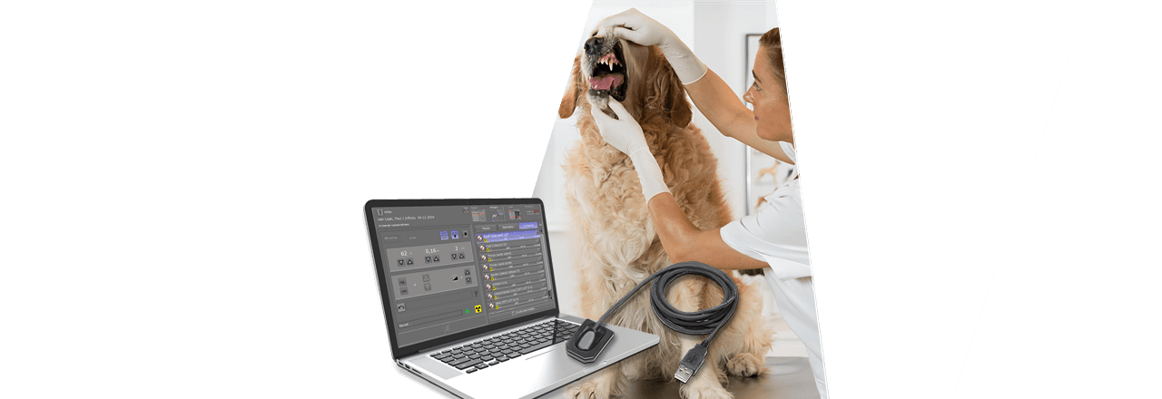 images/Produkte/Medici/vet-dental/Slider-Medici-Dental-Detektor-digitales-Roentgen-vet-1.png