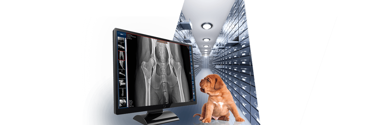images/Produkte/Orca/Archive/vet/Slider-ORCA-DICOM-Cloud-Bildarchivierung-Tiermedizin.png