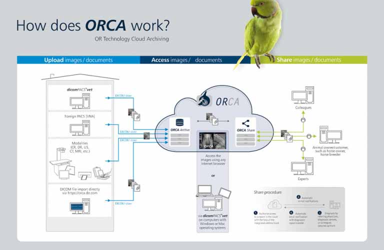 Cloud function veterinary medicine: upload, open and share X-ray images and documents