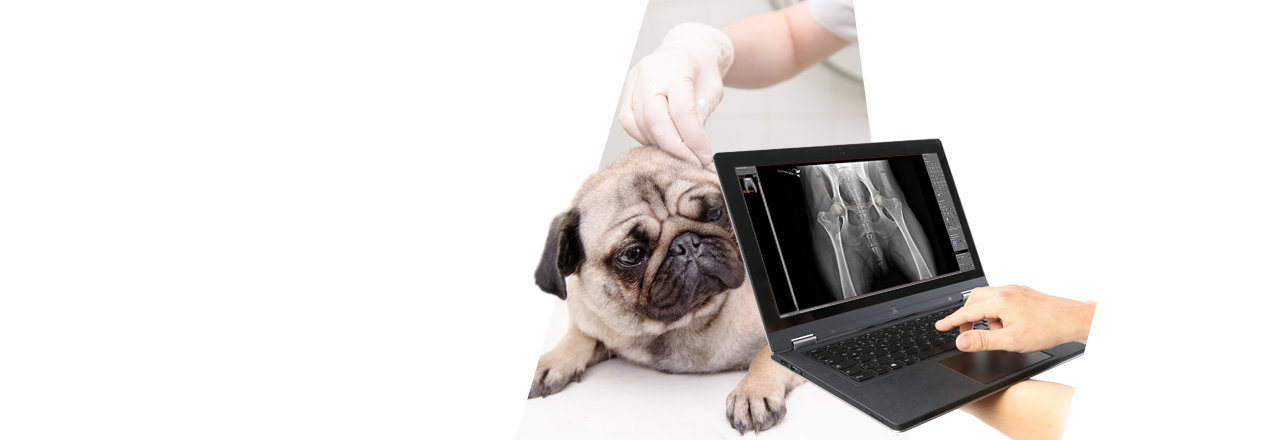 images/Produkte/Pacs/Basis/vet/Slider-dicomPACS-Basis-vet-2.png