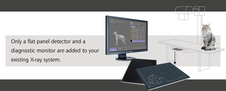 Digital X ray Direct Radiography for veterinary practices and animal clinics