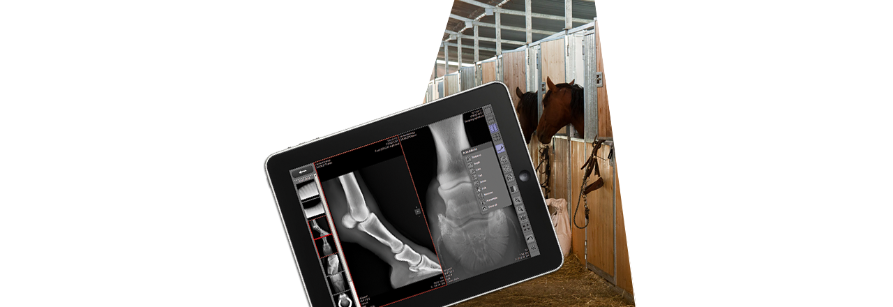 images/Produkte/Pacs/Mobile_View/vet/Slider-mobile-View-vet-2.png