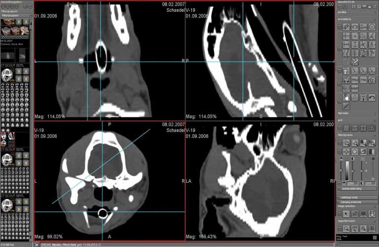 Administration-and-diagnostic-evaluation-of-image-slices-3EN