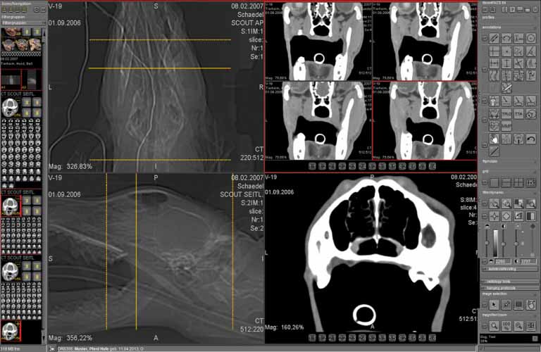 Administration-and-diagnostic-evaluation-of-image-slices-4EN