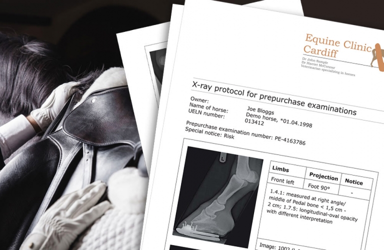 Example of report module for X-ray services relating to equine prepurchase examinations