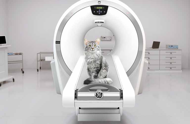 Ultra-compact and energy-efficient CT technology: GE's Revolution ACT for small animal practice