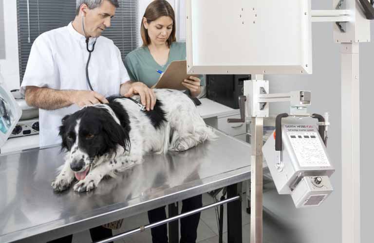 Veterinary-Medicine-Mobile-stands-wall-mounts-and-cassette-holders-3