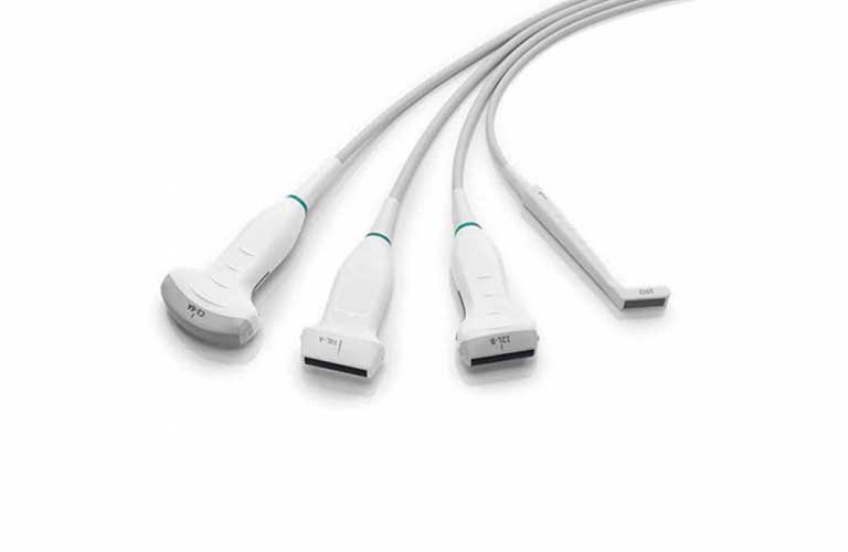 Ultrasound probes for horses and small animals