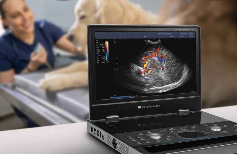 Ultrasound system for use in small animal medicine