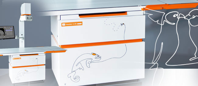 Amadeo veterinary x-ray system with artsy decor